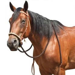 Mustang Teskey's Breaking Hackamore