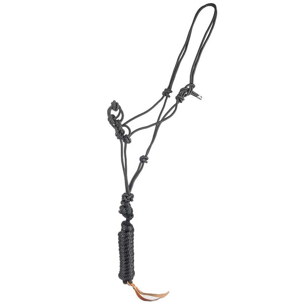 Mustang Brand Infinity Rope Halter With Lead