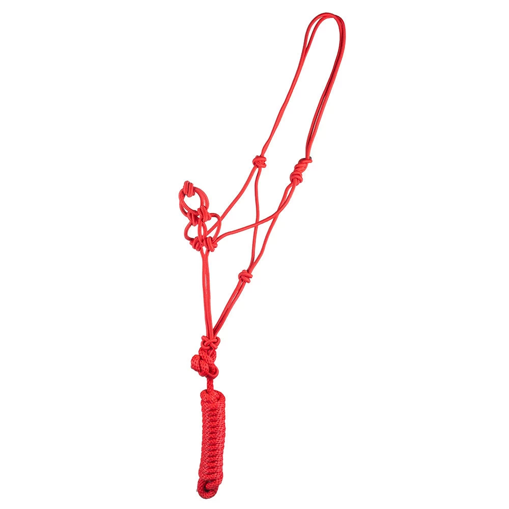 Mustang Brand Infinity Rope Halter With Lead - Image 2