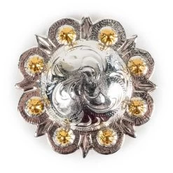 Silver With Gold Dots Flower Concho