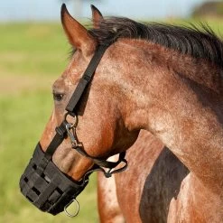 Cashel Grazing Muzzle Halter