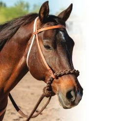 Professional's Choice Loping Hackamore