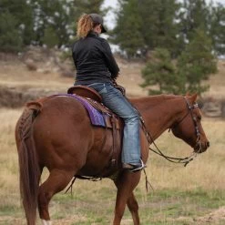 Cashel Blanket Top Performance 34 X 38 Saddle Pad