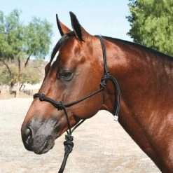 Professional's Choice Clinician Halter With Lead