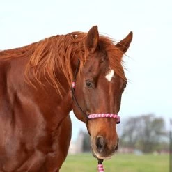Classic Equine Two-Tone Halter With Lead