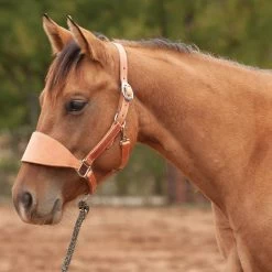 Classic Equine Harness Bronc Halter