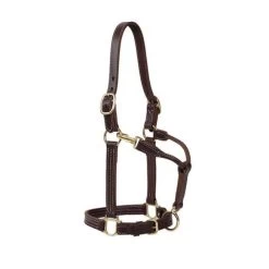 Weaver Leather Weaver 1" Track Halter Canyon Rose