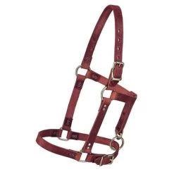 Weaver Leather Weaver Riveted Burgundy Latigo Halter