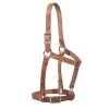 Weaver Leather Weaver Riveted Halter Russet