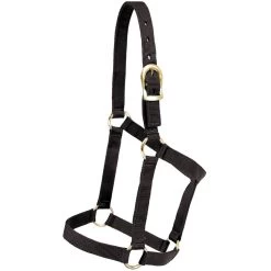 Mustang Economy Nylon Halter
