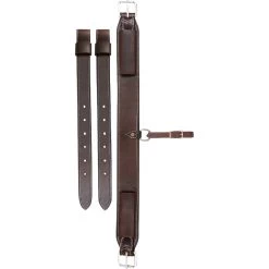 Cashel Flank Cinch Assembly