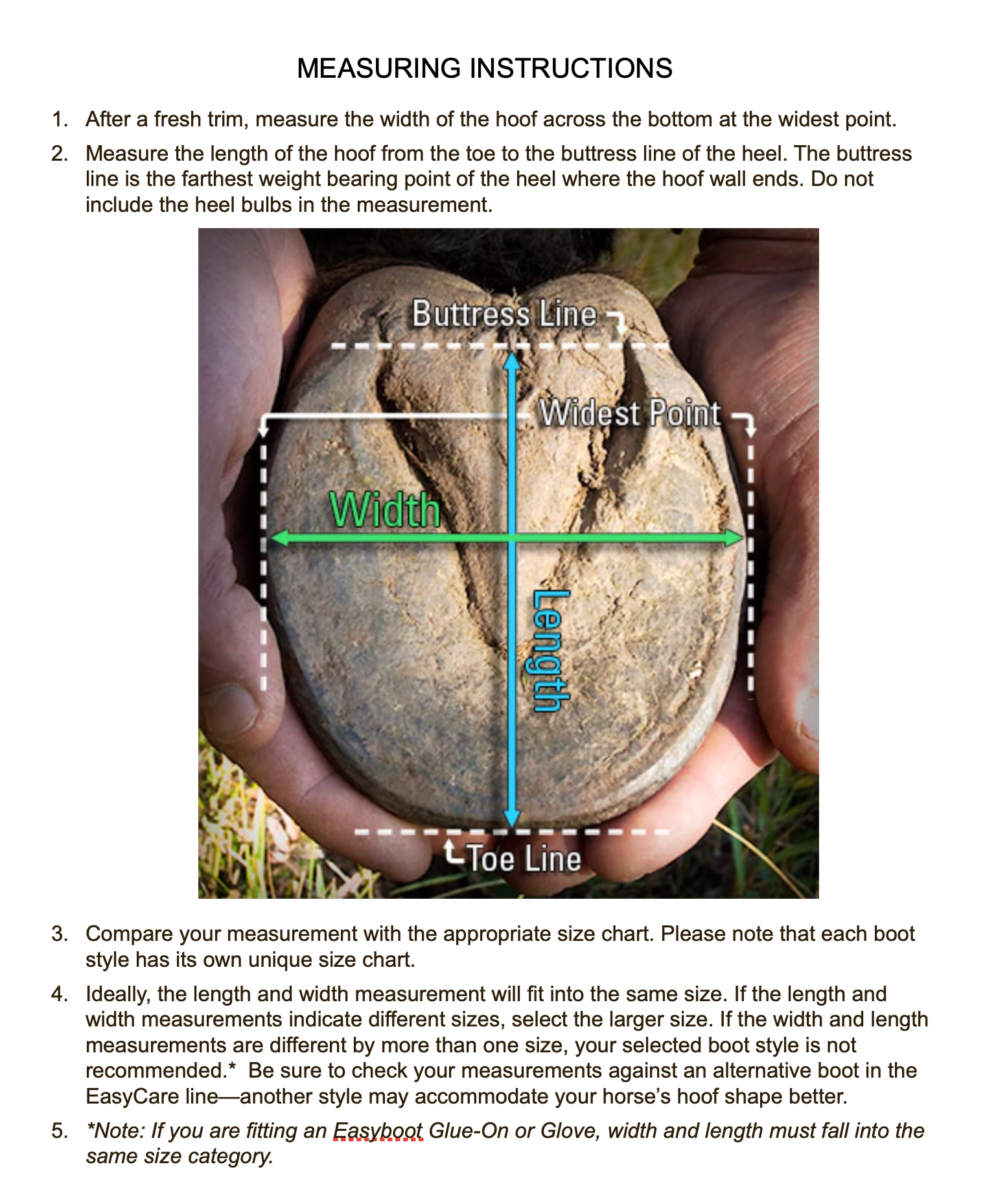 EasyCare Inc - Easyboot Cloud - Image 2