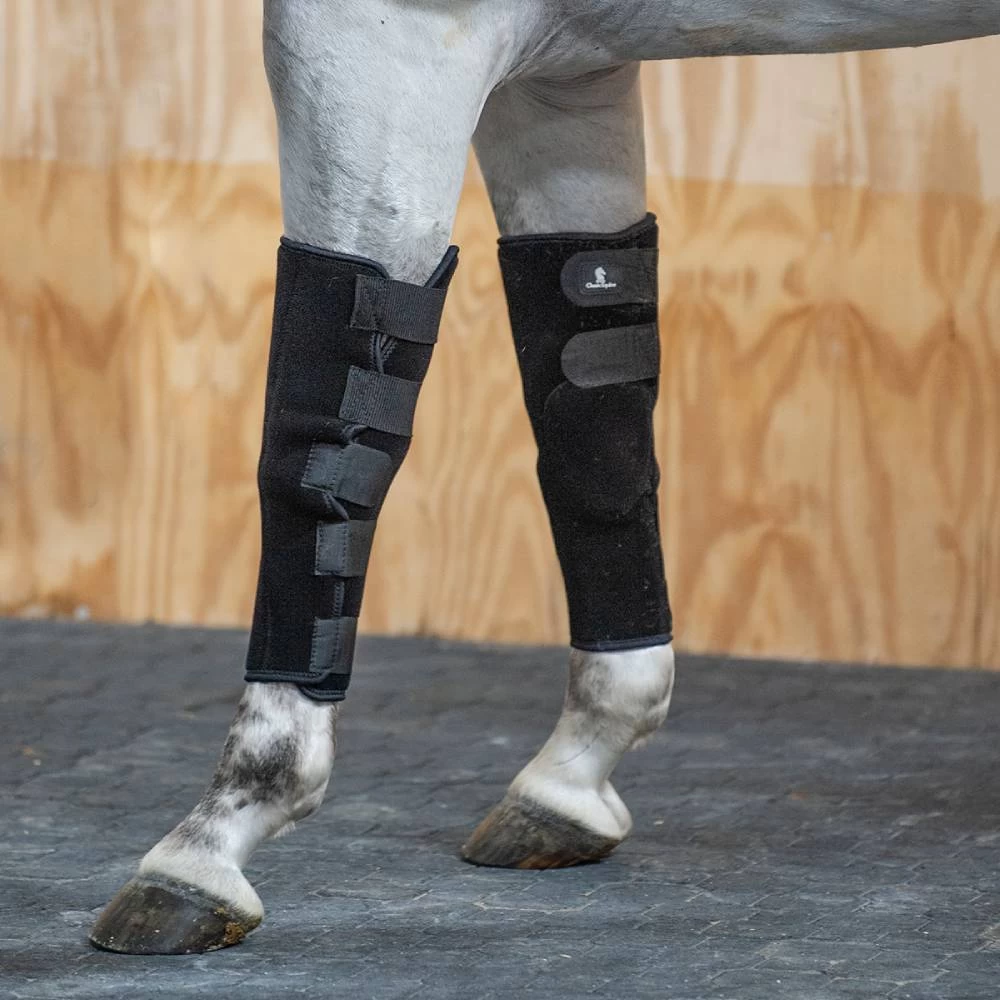 Classic Equine Breeding Boots