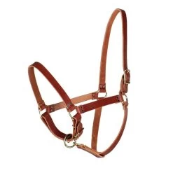 Teskey's Riveted Halter