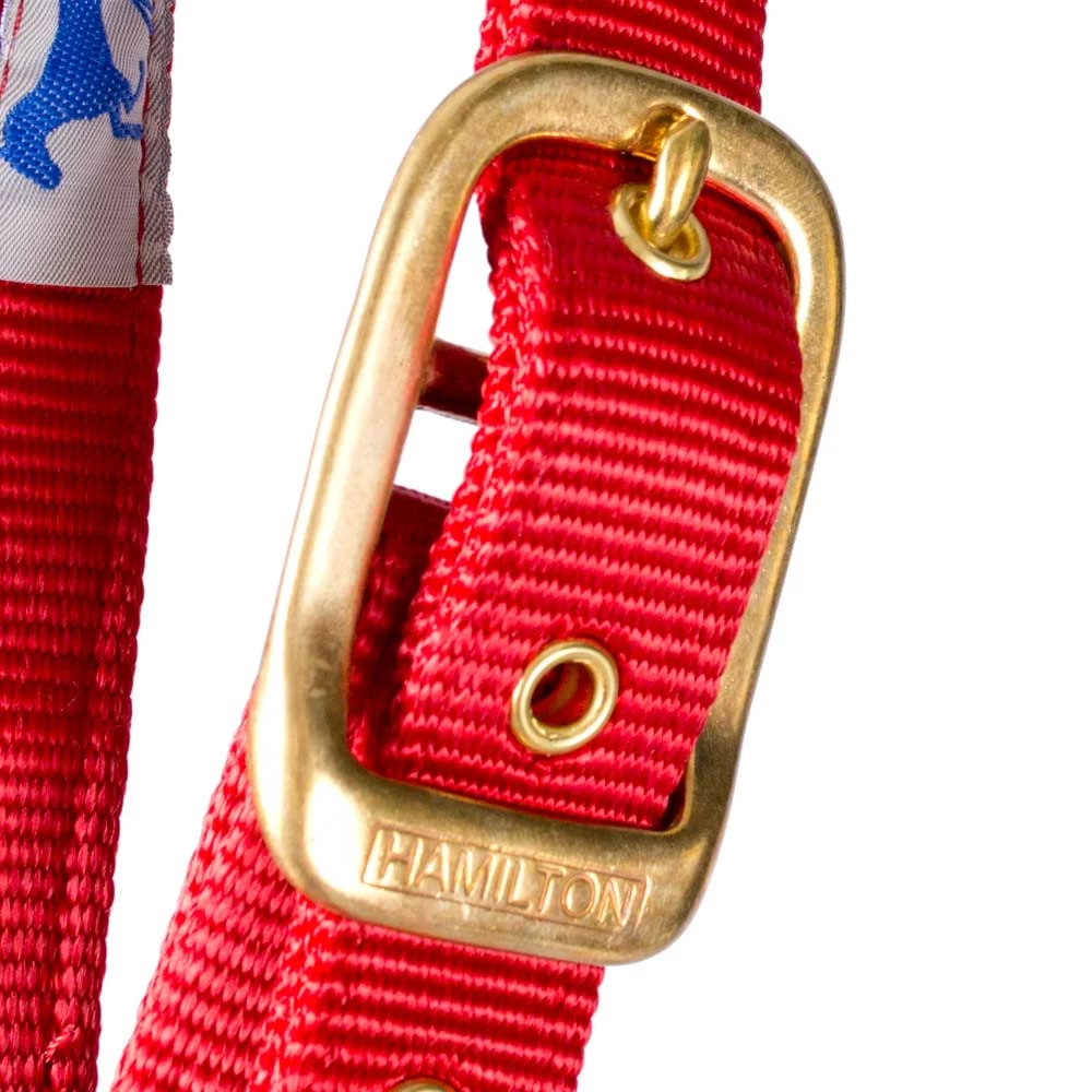 Hamilton 1" Deluxe Nylon Halter - Draft Horse Size - Image 7