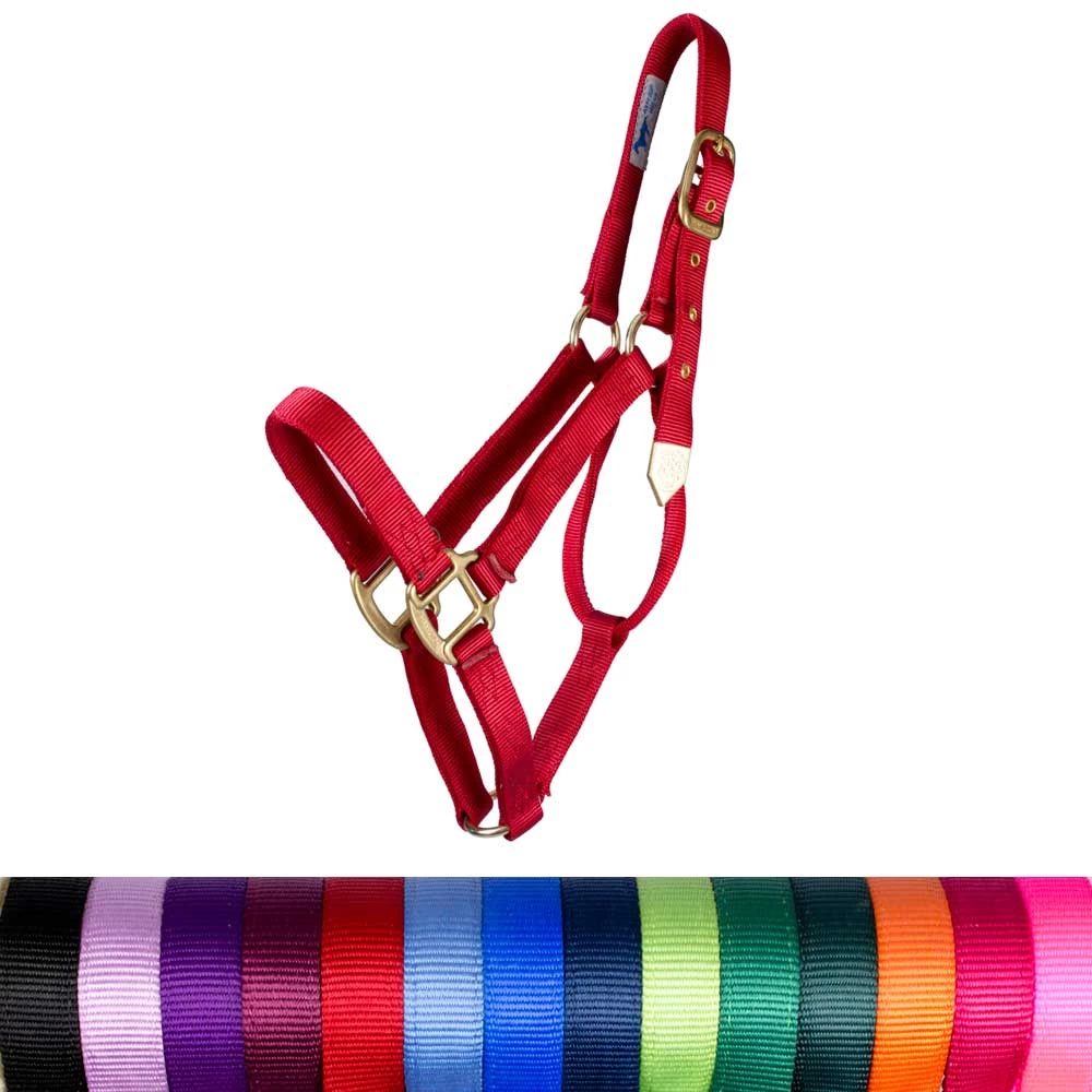 Hamilton 1" Deluxe Nylon Halter - Draft Horse Size - Image 2