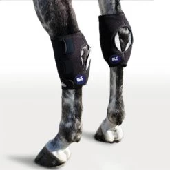 ICEHORSE Hock Wraps