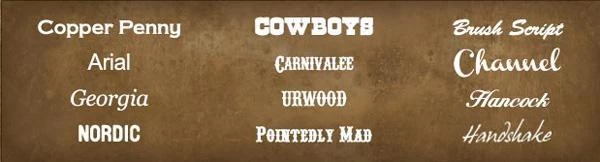 Trophy Headstall #10 - Image 4