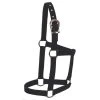 Mustang Foal Economy Halter