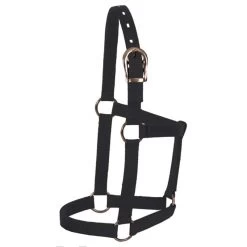 Mustang Foal Economy Halter